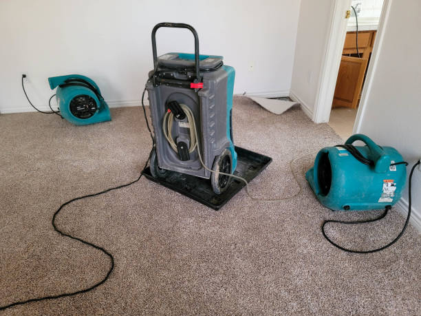 Best Carpet water damage restoration  in Shreveport, LA
