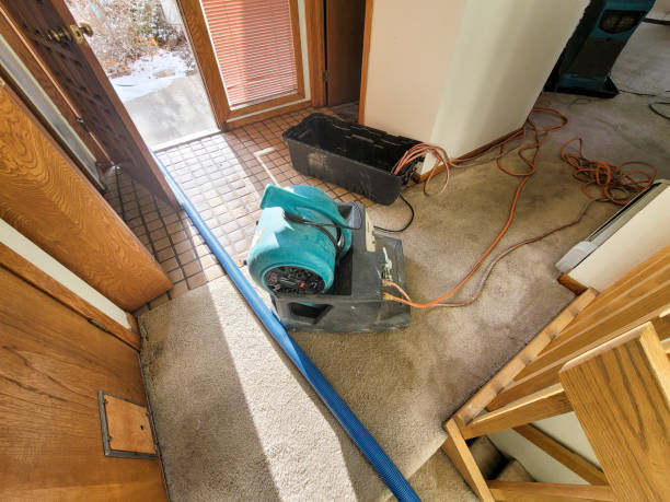 Best Flooded house restoration  in Shreveport, LA