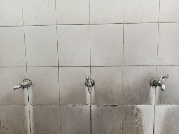 Best Flood restoration services  in Shreveport, LA